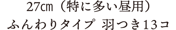 27cm(特に多い昼用)ふんわりタイプ 羽つき13コ
