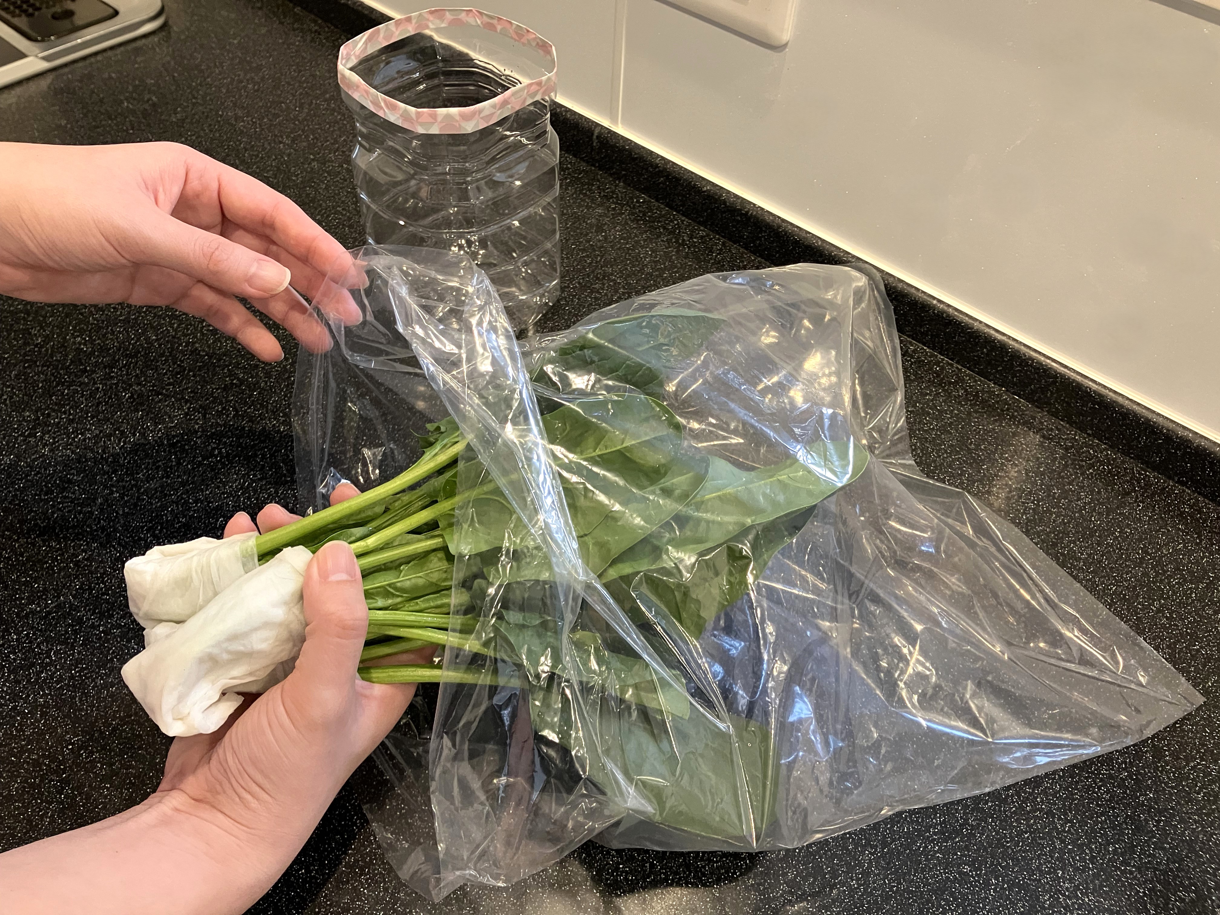 2. 葉のほうからポリ袋をかぶせる