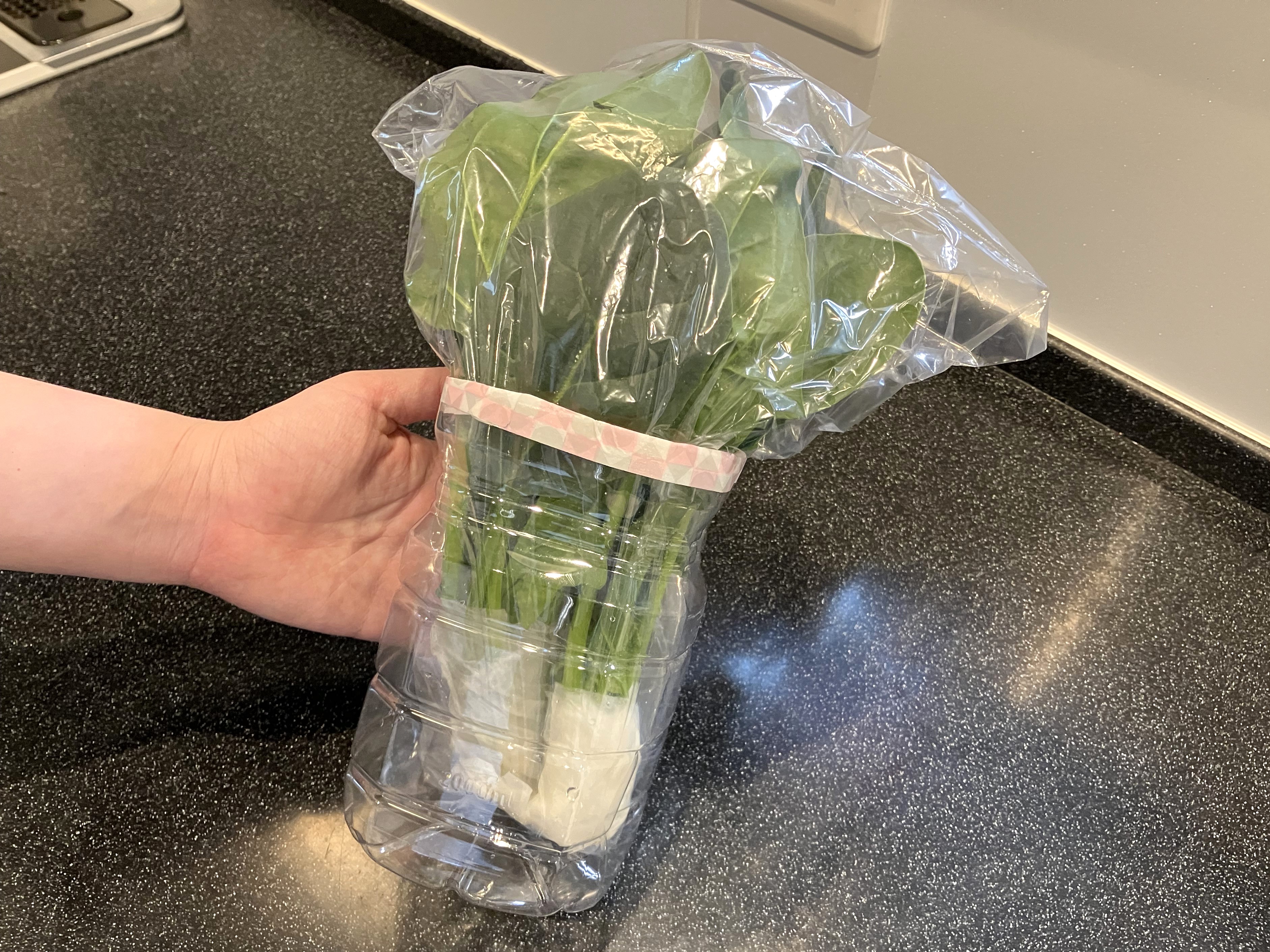 3. ペットボトルや牛乳パックを切ってスタンドにしたものに根元から入れ、冷蔵庫で立てて保存