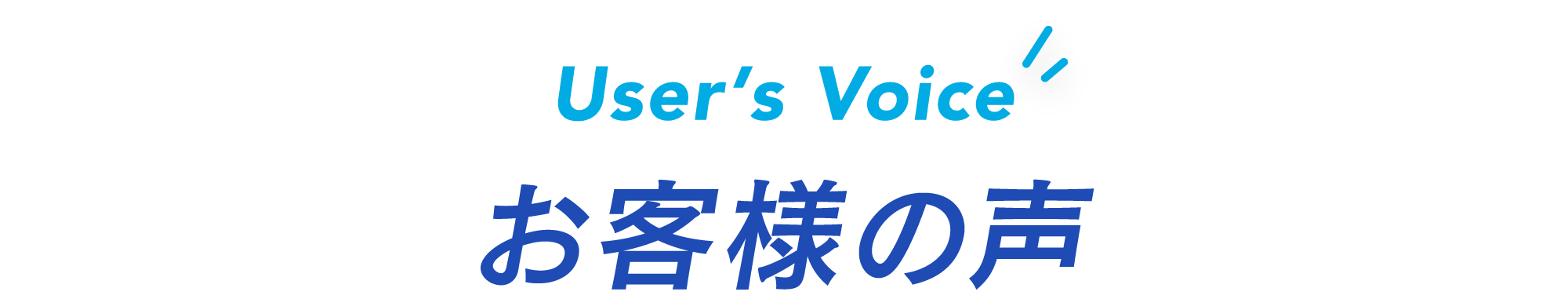 User’s Voice お客様の声