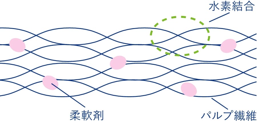 ふんわり柔らかな肌触り | 素材画像01