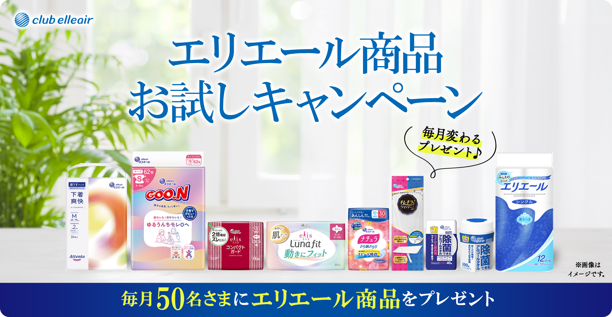 クラブエリエール会員限定キャンペーン 毎月変わるプレゼント♪毎月50名さまにエリエール商品をプレゼント