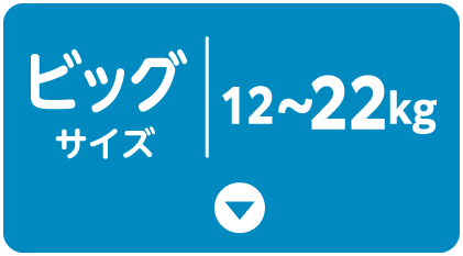 ビッグサイズ | 12~22kg