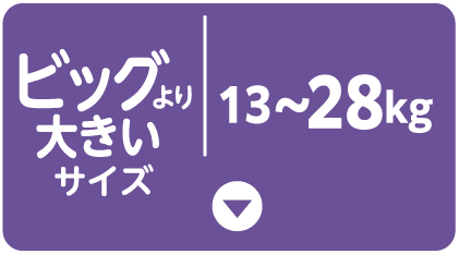 ビッグより大きいサイズ | 13~28kg