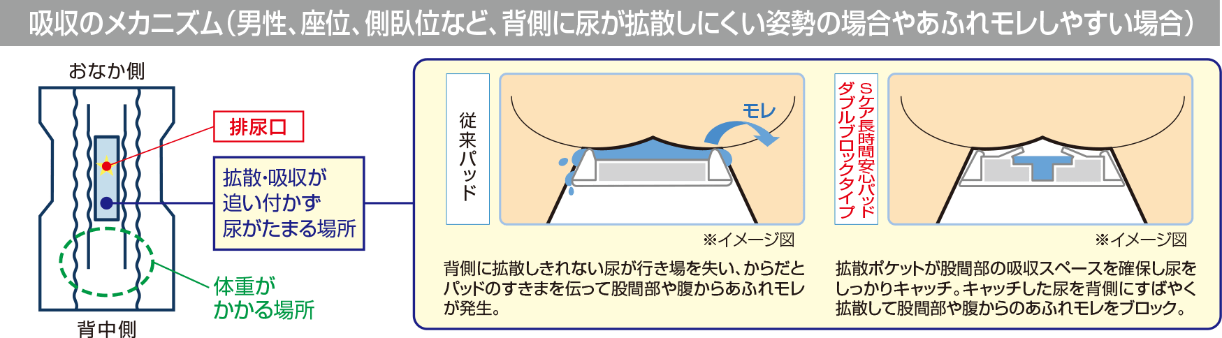 吸収のメカニズム