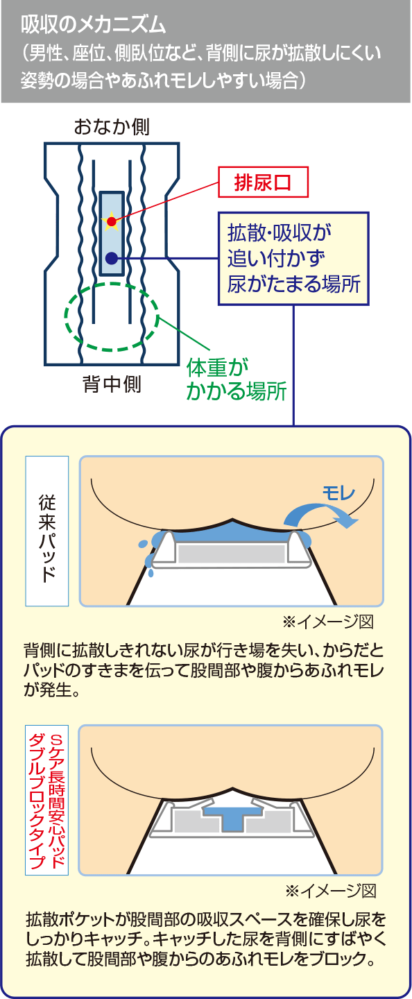 吸収のメカニズム