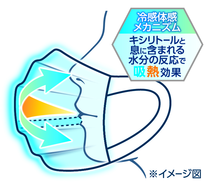 冷感メカニズム