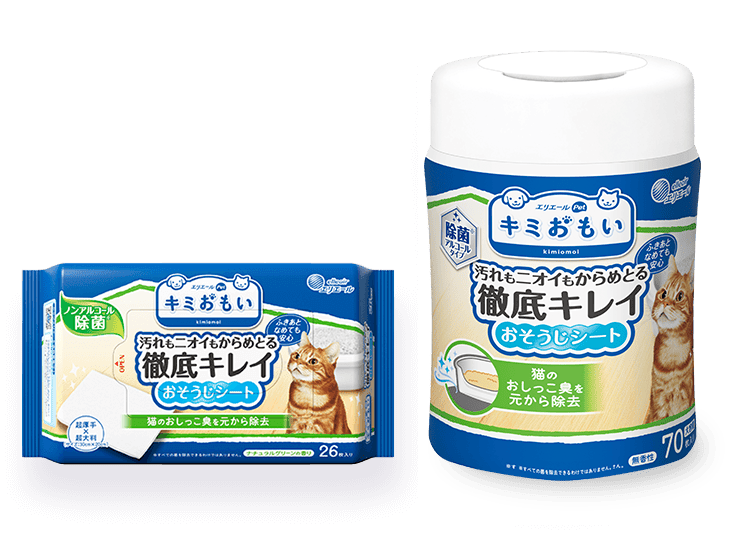 徹底キレイおそうじシート