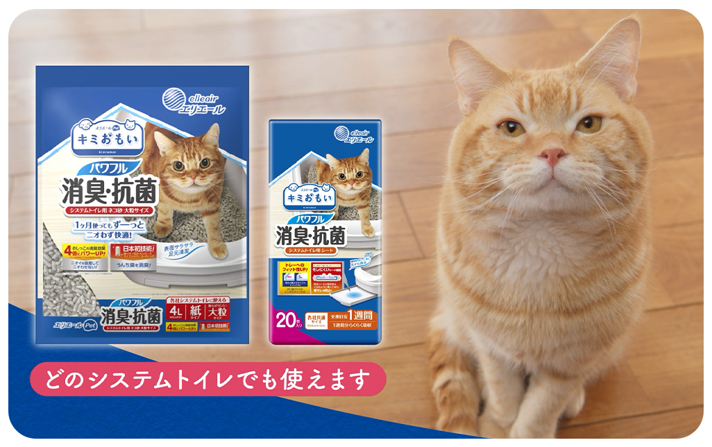 「キミおもい システム猫砂4倍パワー消臭力」篇 