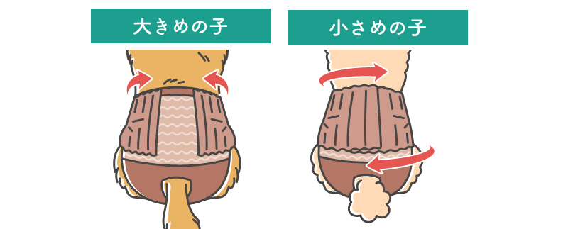 ワンちゃんの体形にピッタリフィットする伸縮アジャスターを示すイラスト