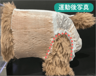 運動後もズレにくい足回りフィット構造