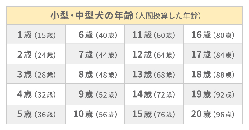 小型犬・中型犬の年齢早見表