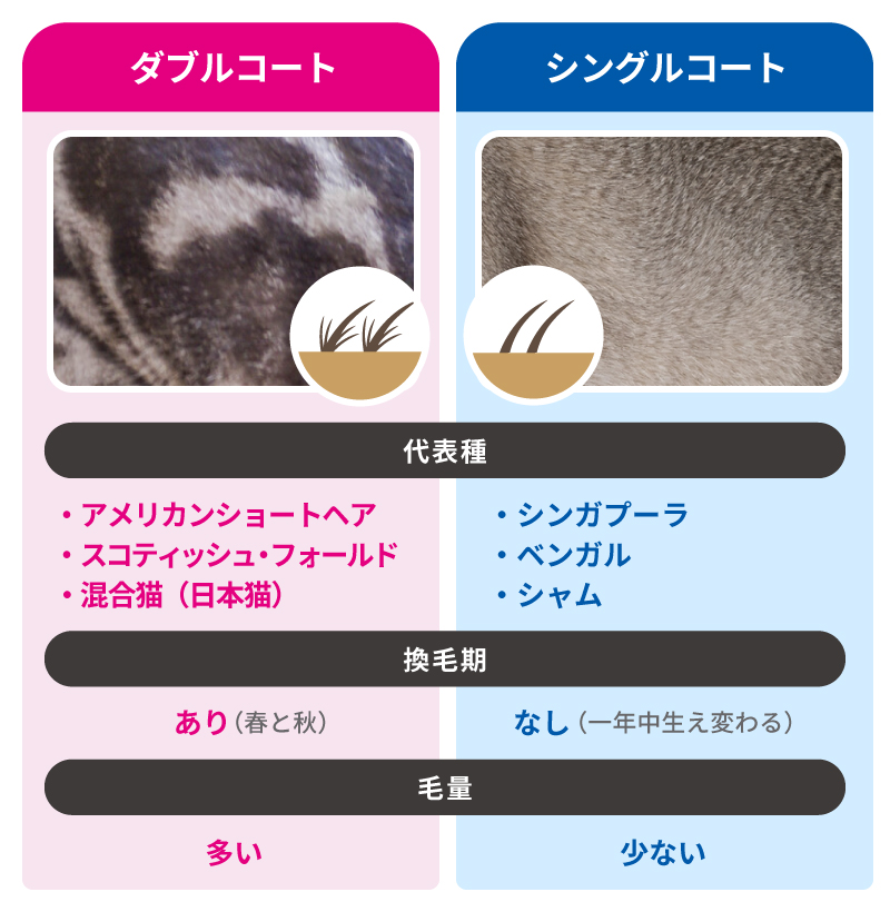 ダブルコートとシングルコートの違い