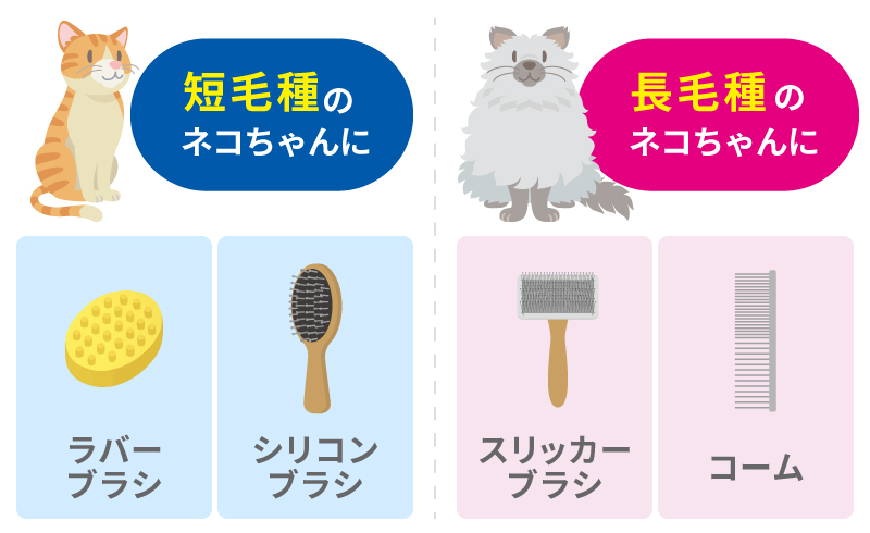 ネコちゃんのブラシの選び方