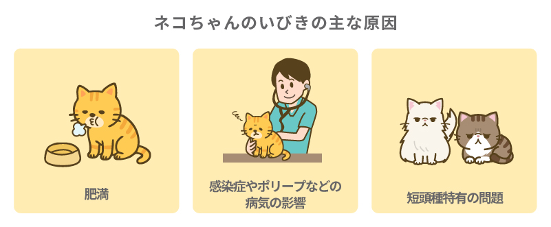 ネコちゃんのいびきの主な原因