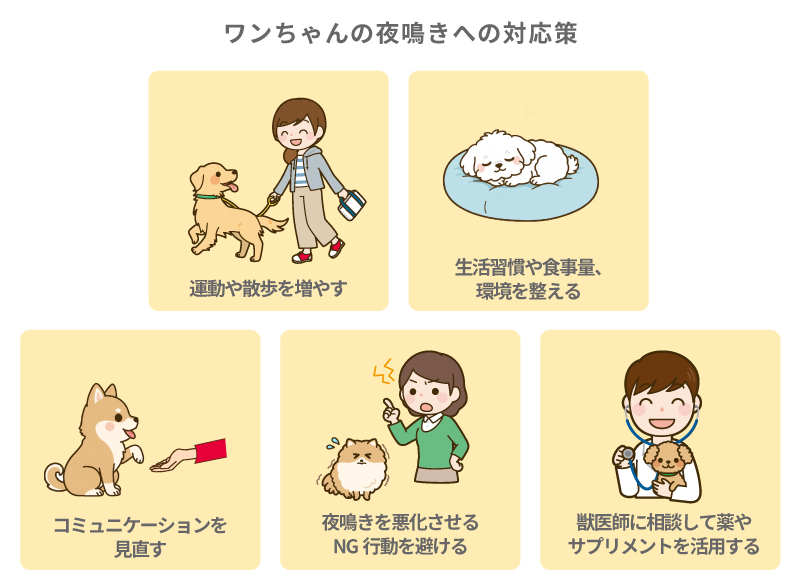 ワンちゃんの夜鳴きへの対応策