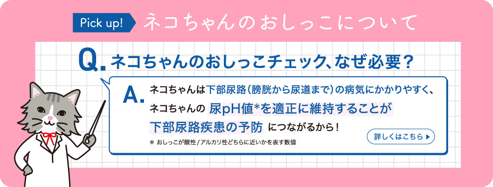 Pick up! ネコちゃんのおしっこについて