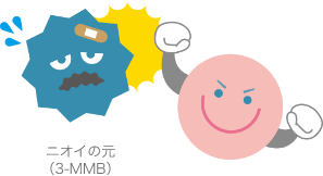 ニオイの元（3-MMB）