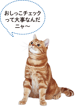 おしっこチェックって大事なんだニャ～