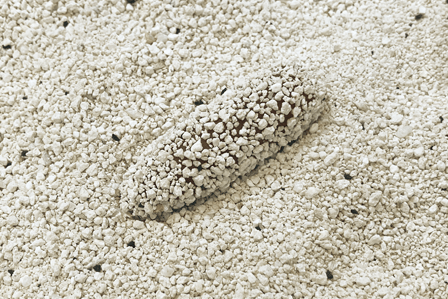 細かい砂がうんちの周りをコーティングするイメージ図