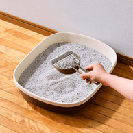 固まる猫砂の使用方法3：固まりやうんちを取り除く