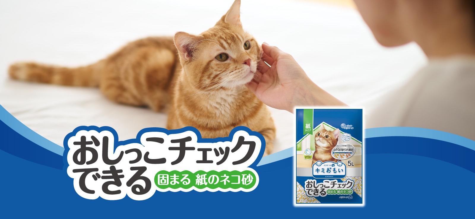 おしっこチェックできるネコ砂