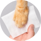 猫ちゃんの手足を拭くイメージ図