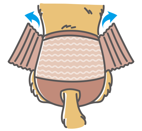 お腹まわりアジャスター 大きめの子着用のイメージ