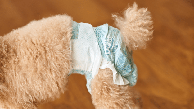 リラックスウェア 着用イメージ