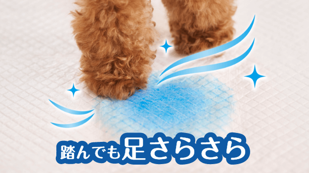ペットシーツの表面はさらさら！踏んでも安心