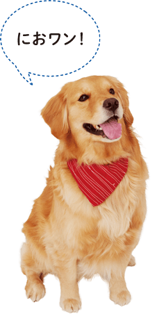 「におワン!」(消臭効果を実感する犬のイラスト)