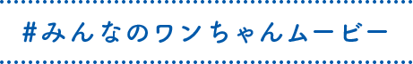 #みんなのワンちゃんムービー