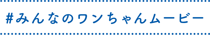 #みんなのワンちゃんムービー