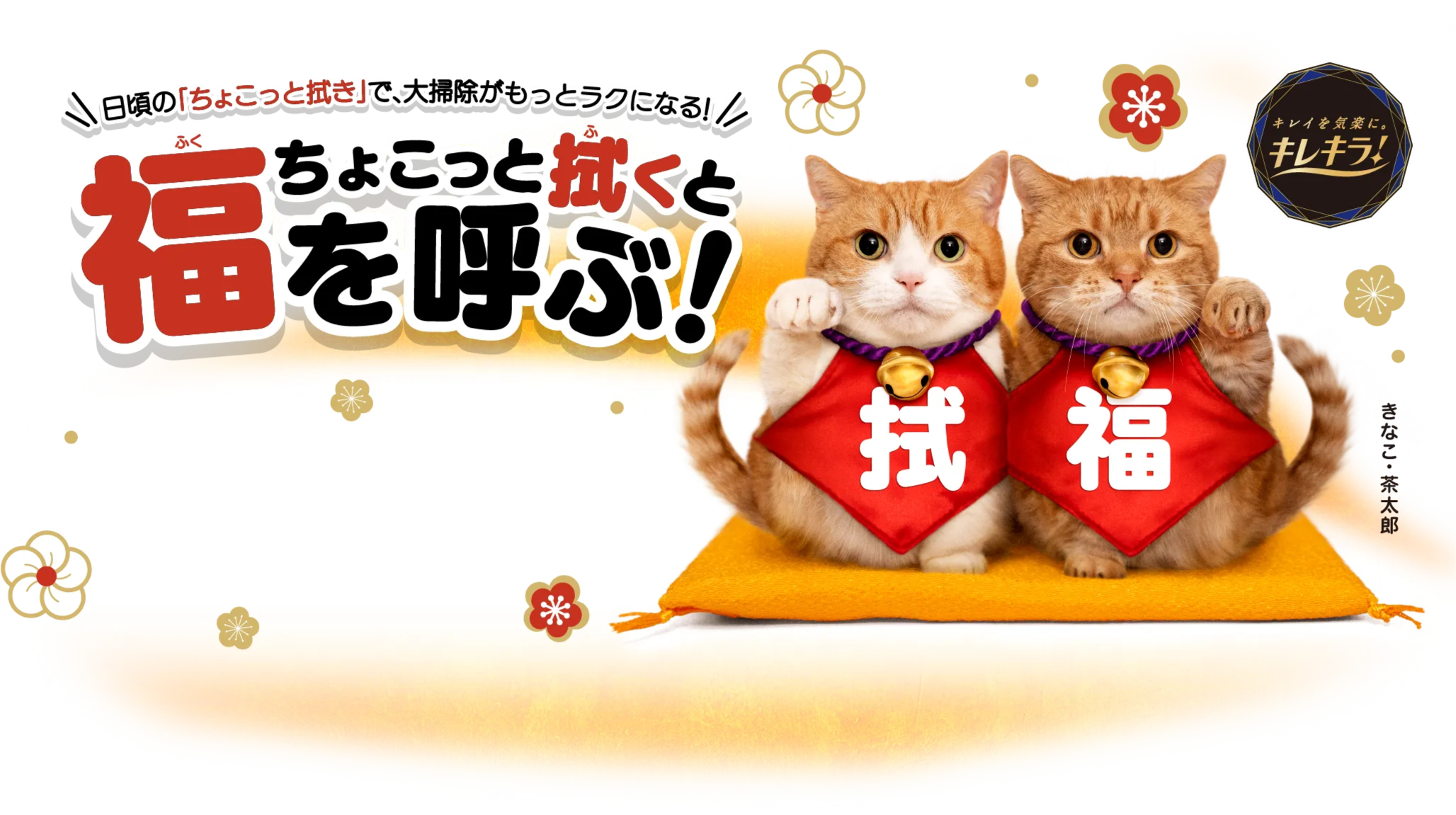 日頃の「ちょこっと拭き」で、大掃除がもっとラクになる！ちょこっと拭くと福を呼ぶ！