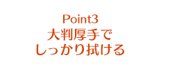 Point3 大判厚手でしっかり拭ける