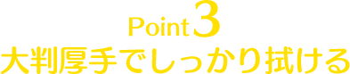 Point3 大判厚手でしっかり拭ける