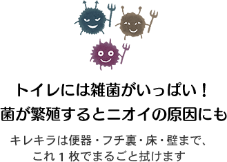 トイレには雑菌がいっぱい！ 菌が繁殖するとニオイの原因にも キレキラは便器・フチ裏・床・壁まで、これ1枚でまるごと拭けます