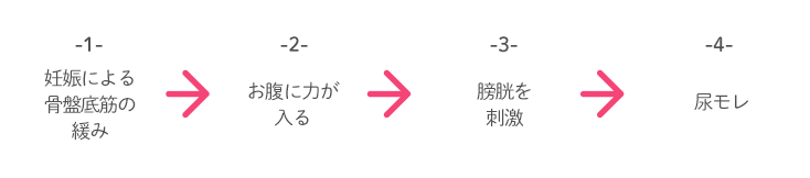 1.妊娠による骨盤底筋の緩み 2.おなかに力が入る 3.膀胱を刺激 4.尿モレ