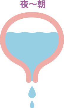 夜～朝