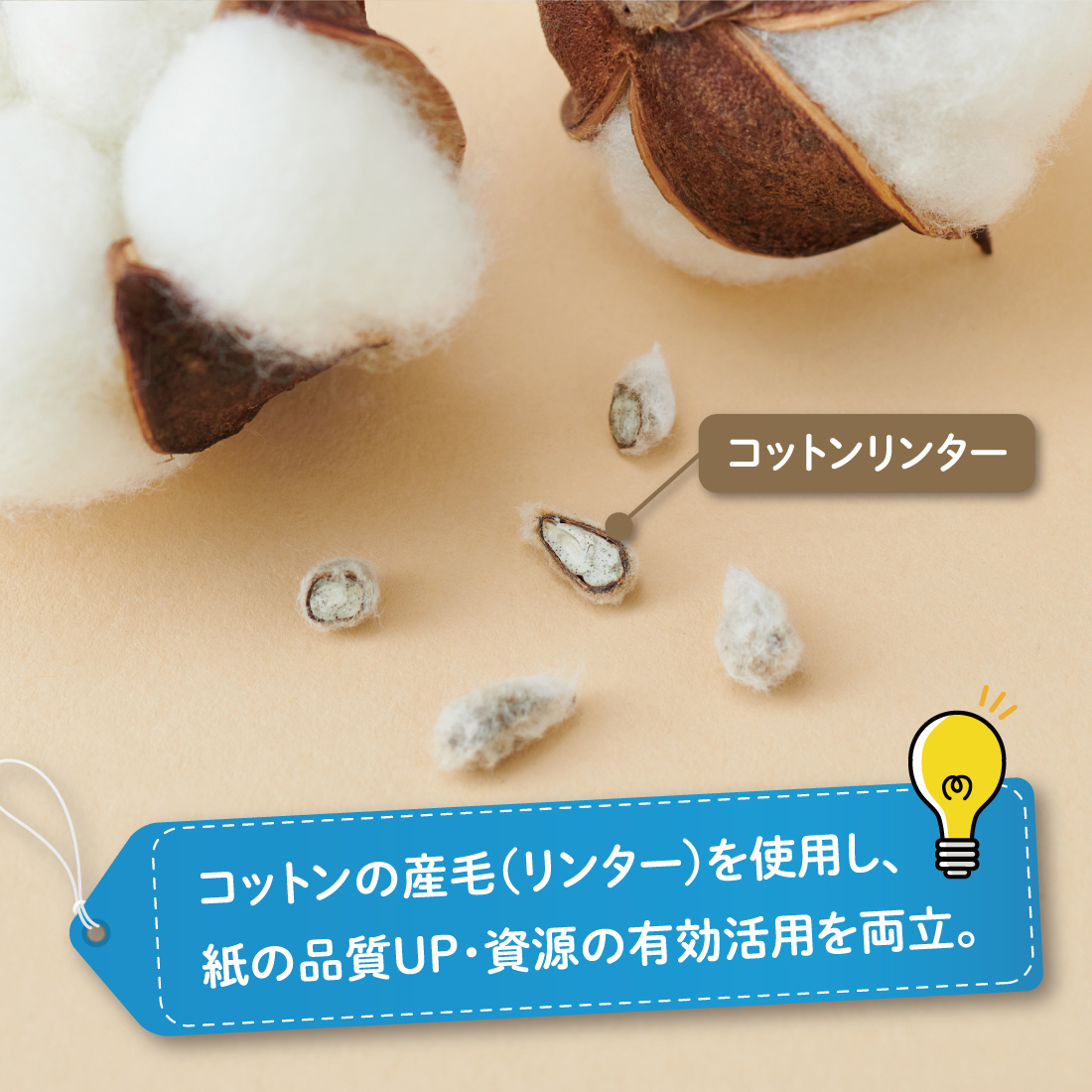 コットンプリンター