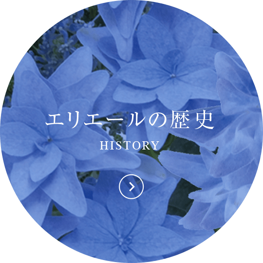 エリエールの歴史 HISTORY