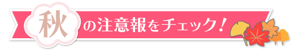 「夏」の注意報をチェック！